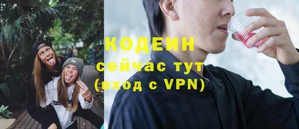 гашик Инта