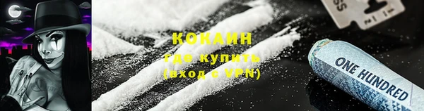 spice Каменка