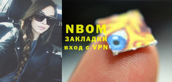 гашик Инта