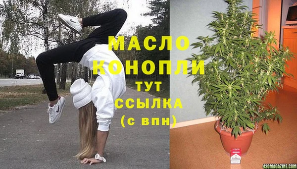 гашик Инта