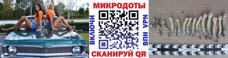 Галлюциногенные грибы MAGIC MUSHROOMS  купить  сайты  Калязин 